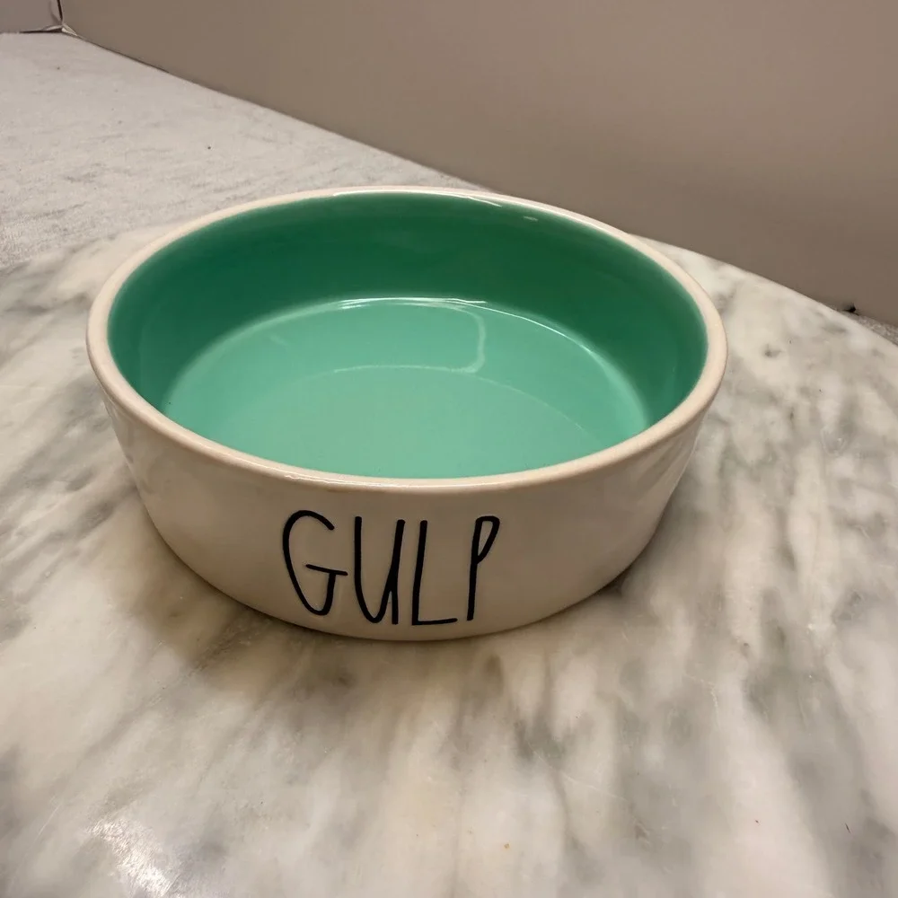 Rae Dunn GULP Pet Bowl Ceramic‎ Mint Green Interior Dog Cat Dish Magenta Artisan